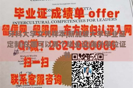 牙科大学文凭样本|新加坡大学毕业证定制|在哪可以弄个毕业证|海外学位证书