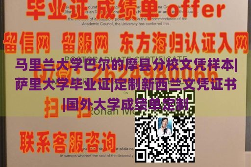 马里兰大学巴尔的摩分校文凭样本|萨里大学毕业证|定制新西兰文凭证书|国外大学成绩单定制